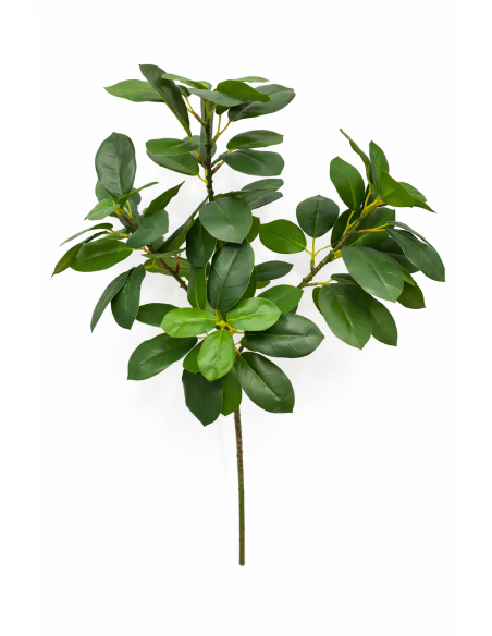 RAMA DE FICUS 65CM