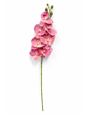 VARA ORQUIDEA FUCSIA X7 75CM