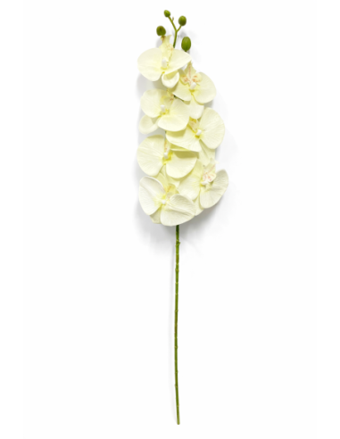 VARA ORQUIDEA BEIGE X7 75CM