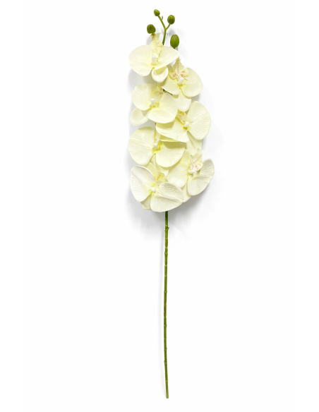 VARA ORQUIDEA BEIGE X7 75CM