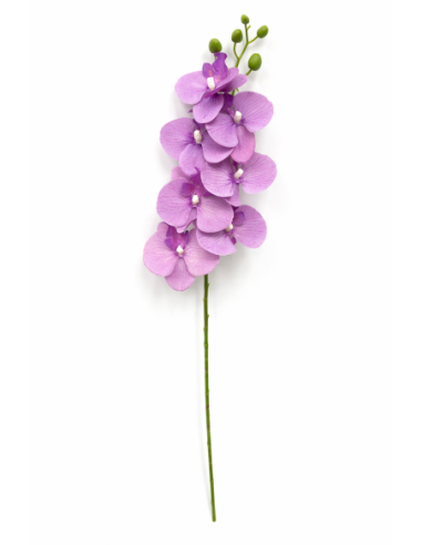 VARA ORQUIDEA LILA X7 75CM