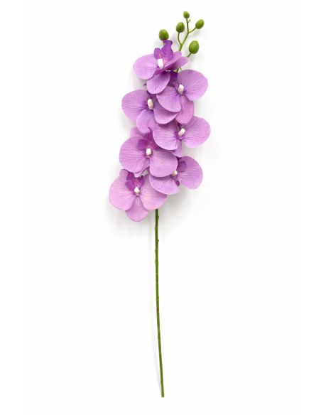 VARA ORQUIDEA LILA X7 75CM