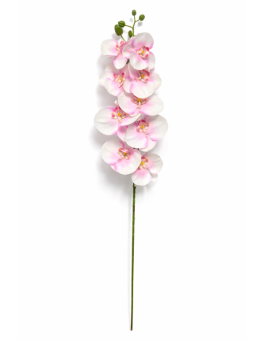 VARA ORQUIDEA ROSA X7 75CM