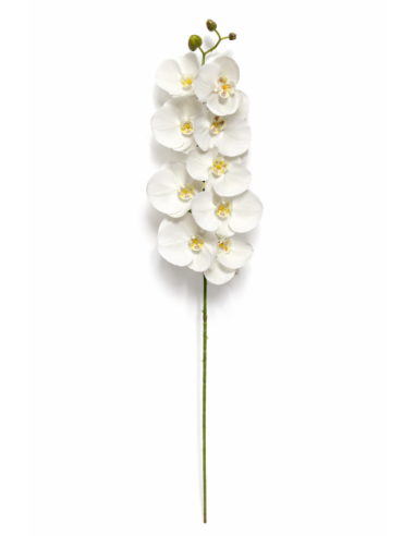 VARA ORQUIDEA BLANCA X7 75CM