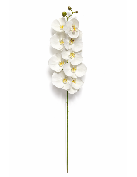 VARA ORQUIDEA BLANCA X7 75CM