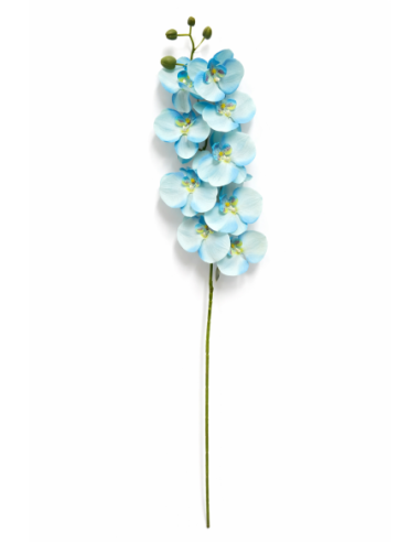 VARA ORQUIDEA AZUL CLARO X7 75CM