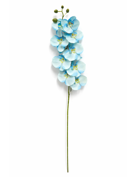 VARA ORQUIDEA AZUL CLARO X7 75CM