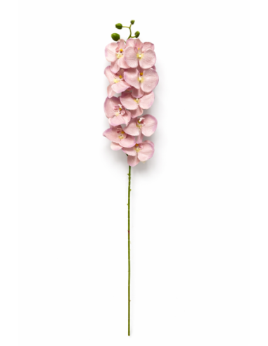 VARA ORQUIDEA ROSA CLARO X7 75CM