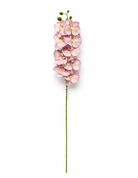 VARA ORQUIDEA ROSA CLARO X7 75CM