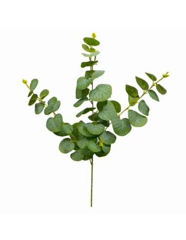 RAMA DE EUCALIPTO VERDE 80CM