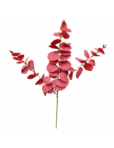 RAMA DE EUCALIPTO ROJO 80CM