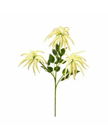 RAMA DE AMARANTHUS CREMA 75CM