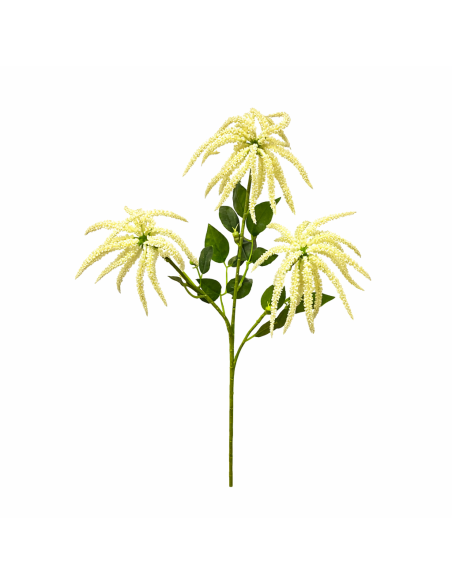 RAMA DE AMARANTHUS CREMA 75CM