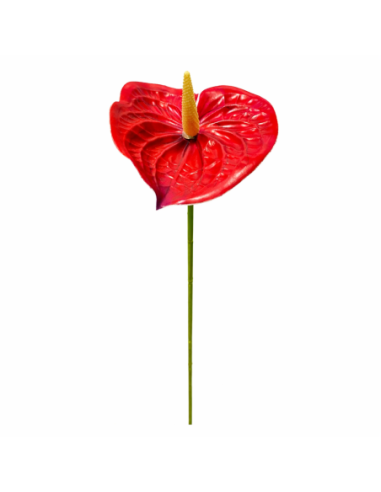 RAMA DE ANTHURIUM ROJO 60CM