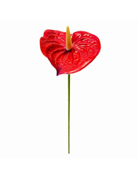 RAMA DE ANTHURIUM ROJO 60CM