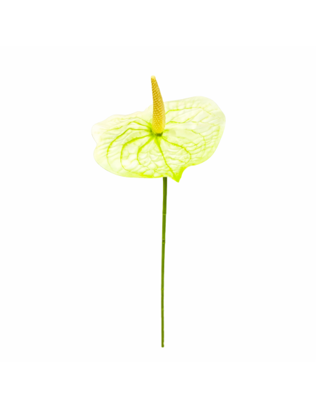RAMA DE ANTHURIUM VERDE 60CM