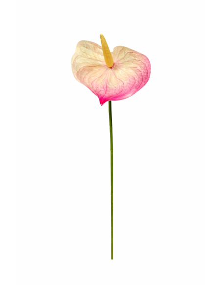 RAMA DE ANTHURIUM ROSA 60CM
