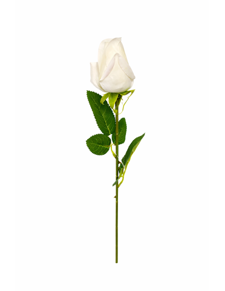 ROSA CAPULLO BLANCA 55CM