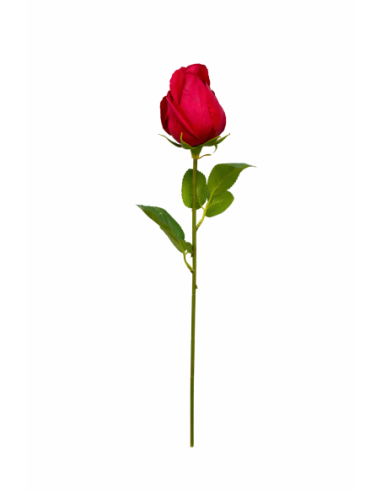 ROSA CAPULLO ROJA 55CM