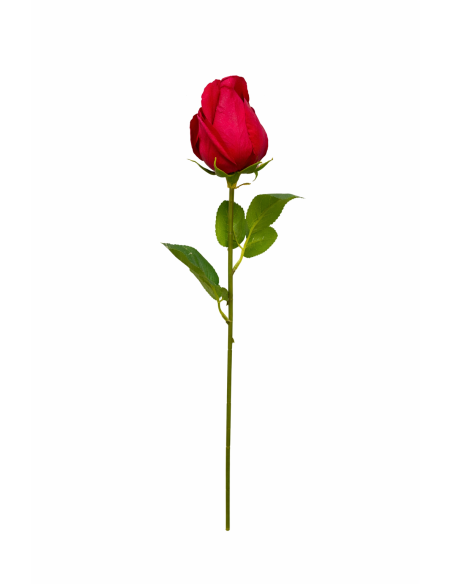ROSA CAPULLO ROJA 55CM