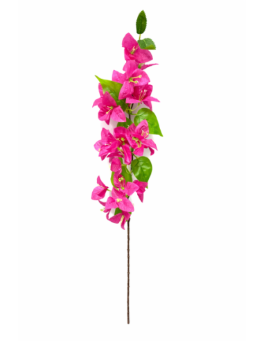 RAMA DE BUGANVILLA ROSA 80