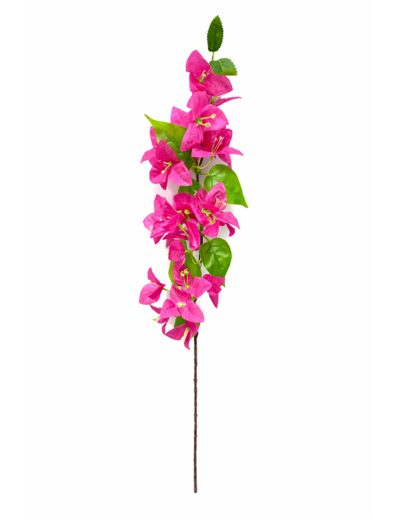 RAMA DE BUGANVILLA ROSA 80