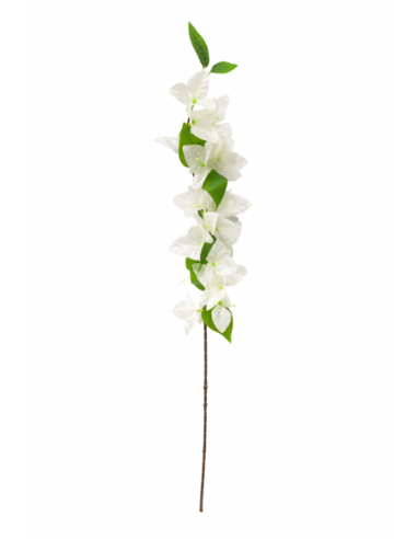 RAMA DE BUGANVILLA BLANCA 80CM