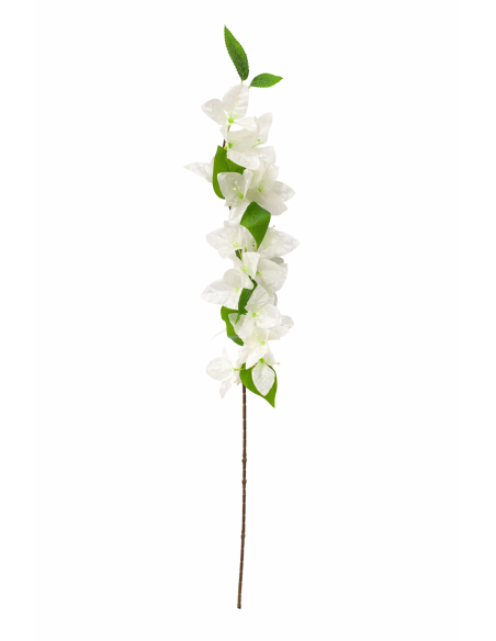 RAMA DE BUGANVILLA BLANCA 80CM