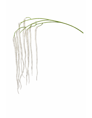 RAMA DE AMARANTHUS COLGANTE BLANCO 120CM