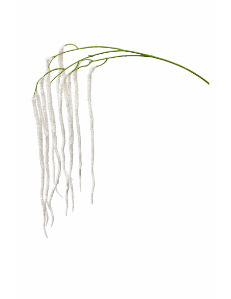 RAMA DE AMARANTHUS COLGANTE BLANCO 120CM