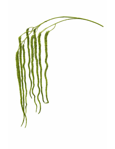 RAMA DE AMARANTHUS COLGANTE VERDE 120CM