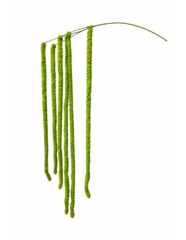 RAMA DE AMARANTHUS COLGANTE VERDE 140CM