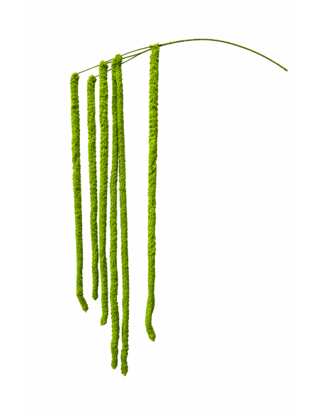 RAMA DE AMARANTHUS COLGANTE VERDE 140CM