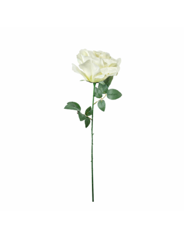 GRAN ROSA, BLANCA 65CM