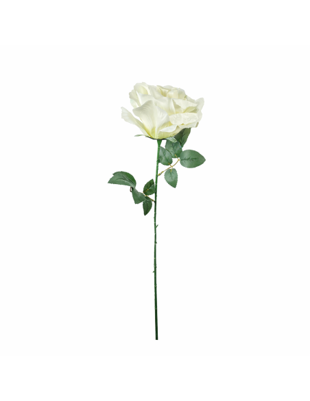 GRAN ROSA, BLANCA 65CM