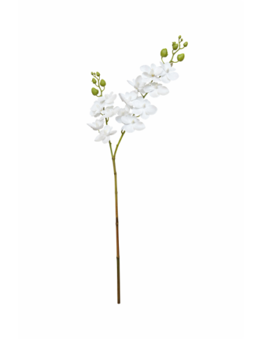 VARA ORQUIDEA 3D 60CM