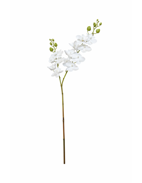 VARA ORQUIDEA 3D 60CM