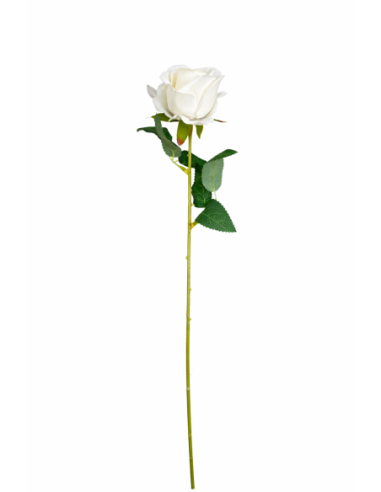 VARA ROSA BLANCA 50CM