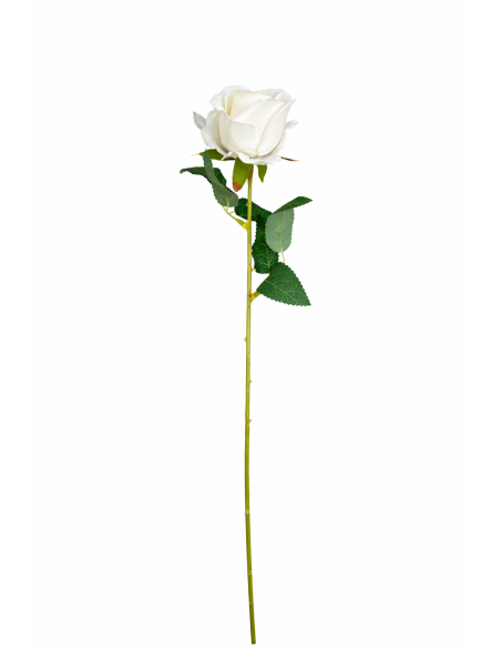 VARA ROSA BLANCA 50CM