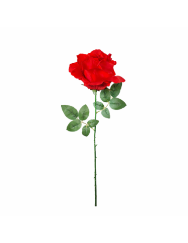 GRAN ROSA, ROJA 65CM