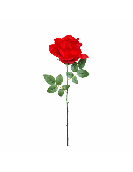 GRAN ROSA, ROJA 65CM