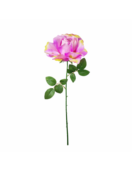 GRAN ROSA, LILA 65CM