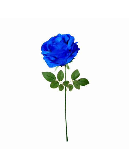 GRAN ROSA, AZUL 65CM