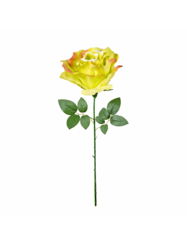 GRAN ROSA, VERDE 65CM