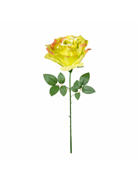 GRAN ROSA, VERDE 65CM
