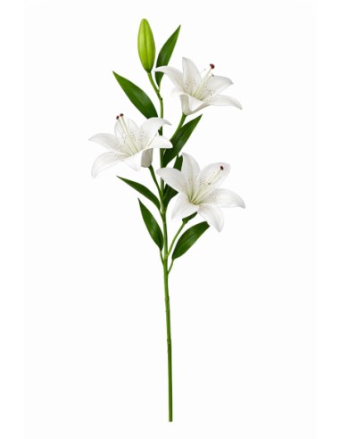 VARA LIRIO X3 100CM