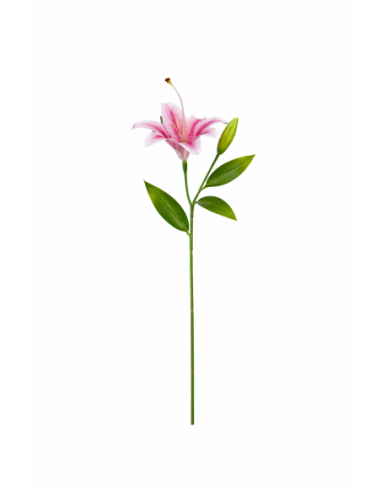 VARA LIRIO ROSA 45CM