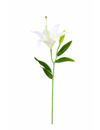 VARA LIRIO BLANCO 45CM