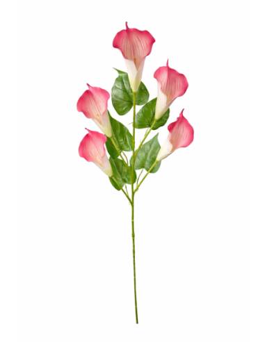 CALAS SATIN ROSA X5 110CM