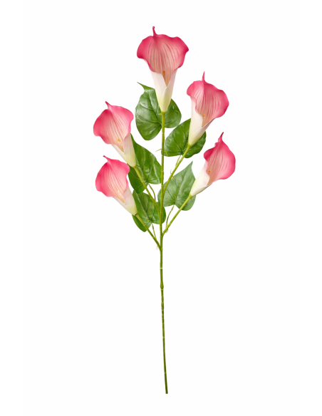 CALAS SATIN ROSA X5 110CM